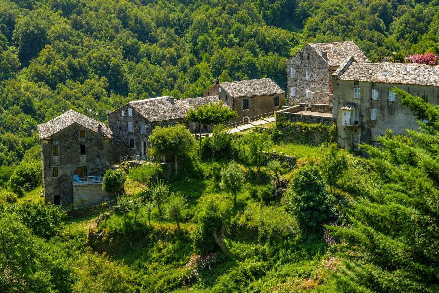 Alt à définir